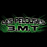 Les Pelouses 3.M.T