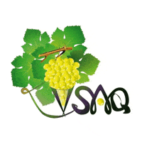 VSAQ
