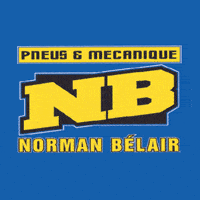 Pneus et mécanique NB