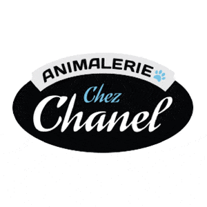 Animalerie Chez Chanel