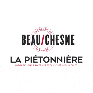 Chaussures Beauchesne