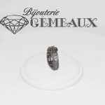 gemeaux-2
