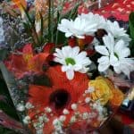 fleurs