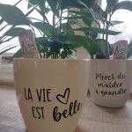 pot de plante