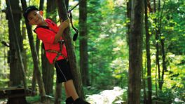 domaine vert Hébertisme parcours enfant