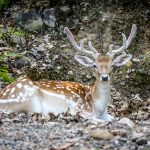 parc omega