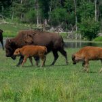 parc omega