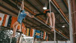 Forfait VIP 1 semaine - CirkusRep
